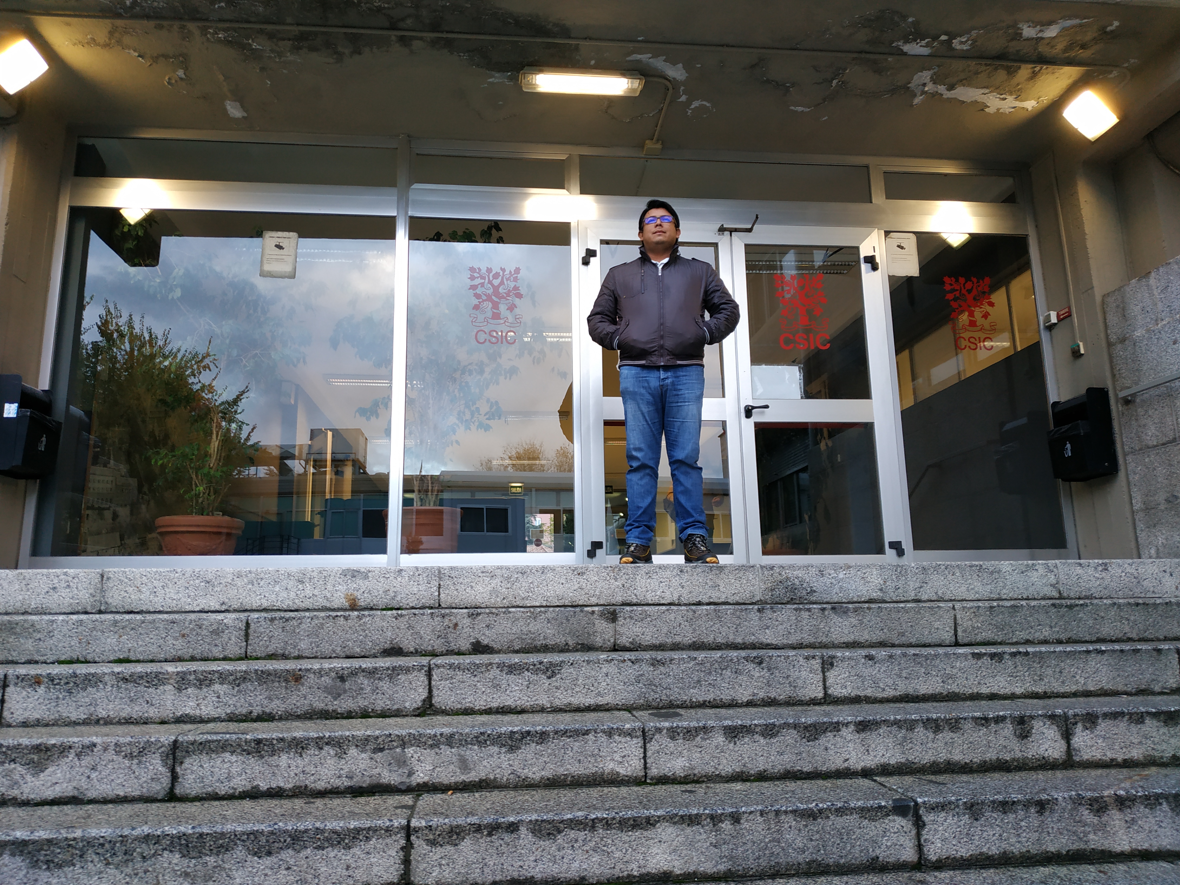 Colaboración académica
