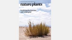 Nature Plants