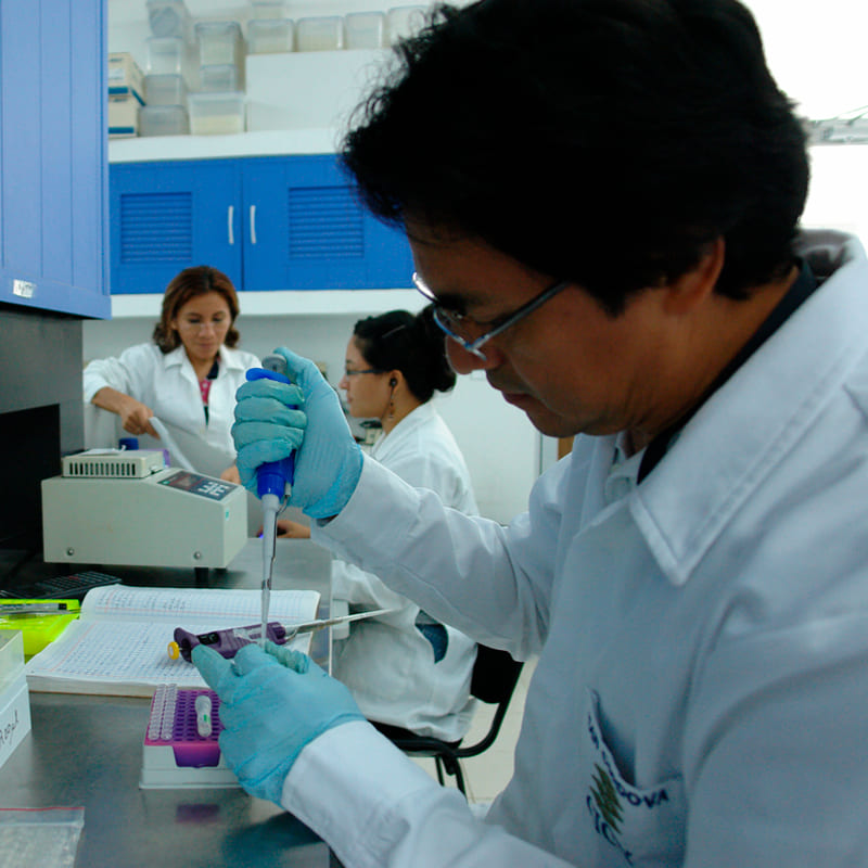 Investigación
