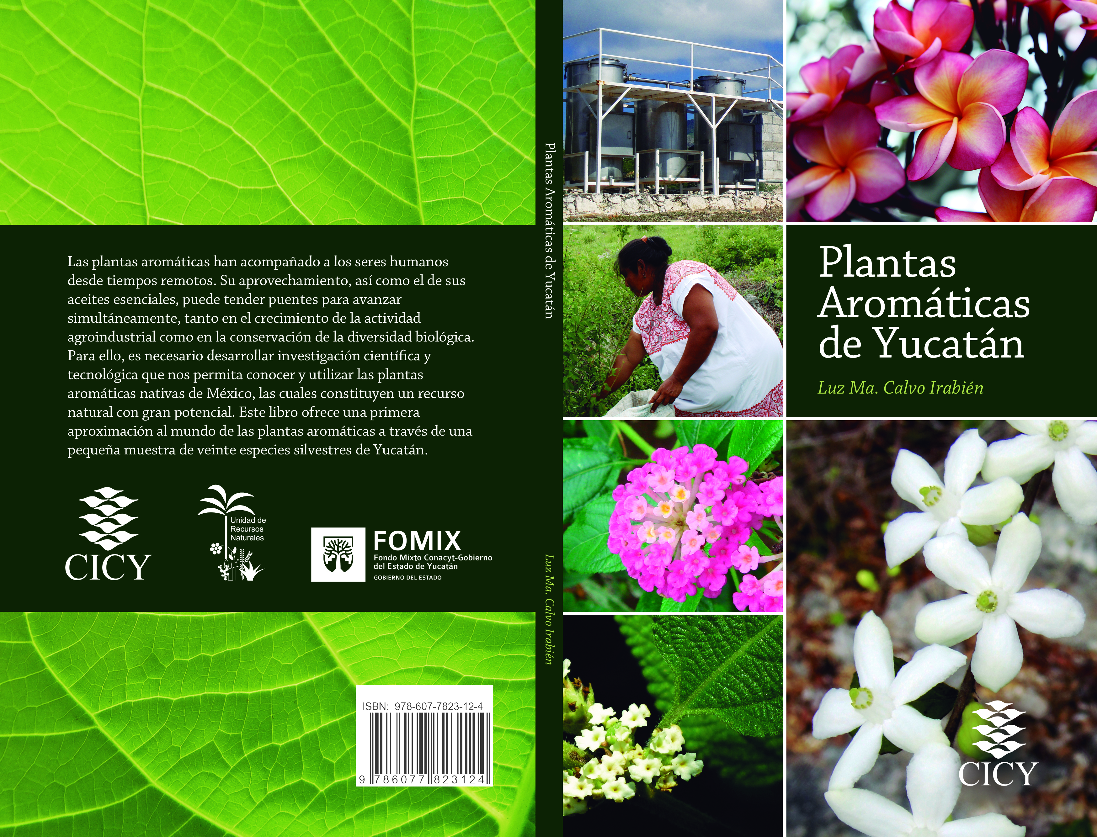 Portada-plantas-aromaticas