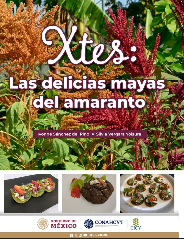 Portada_Xtes_Las-delicias-del-amaranto